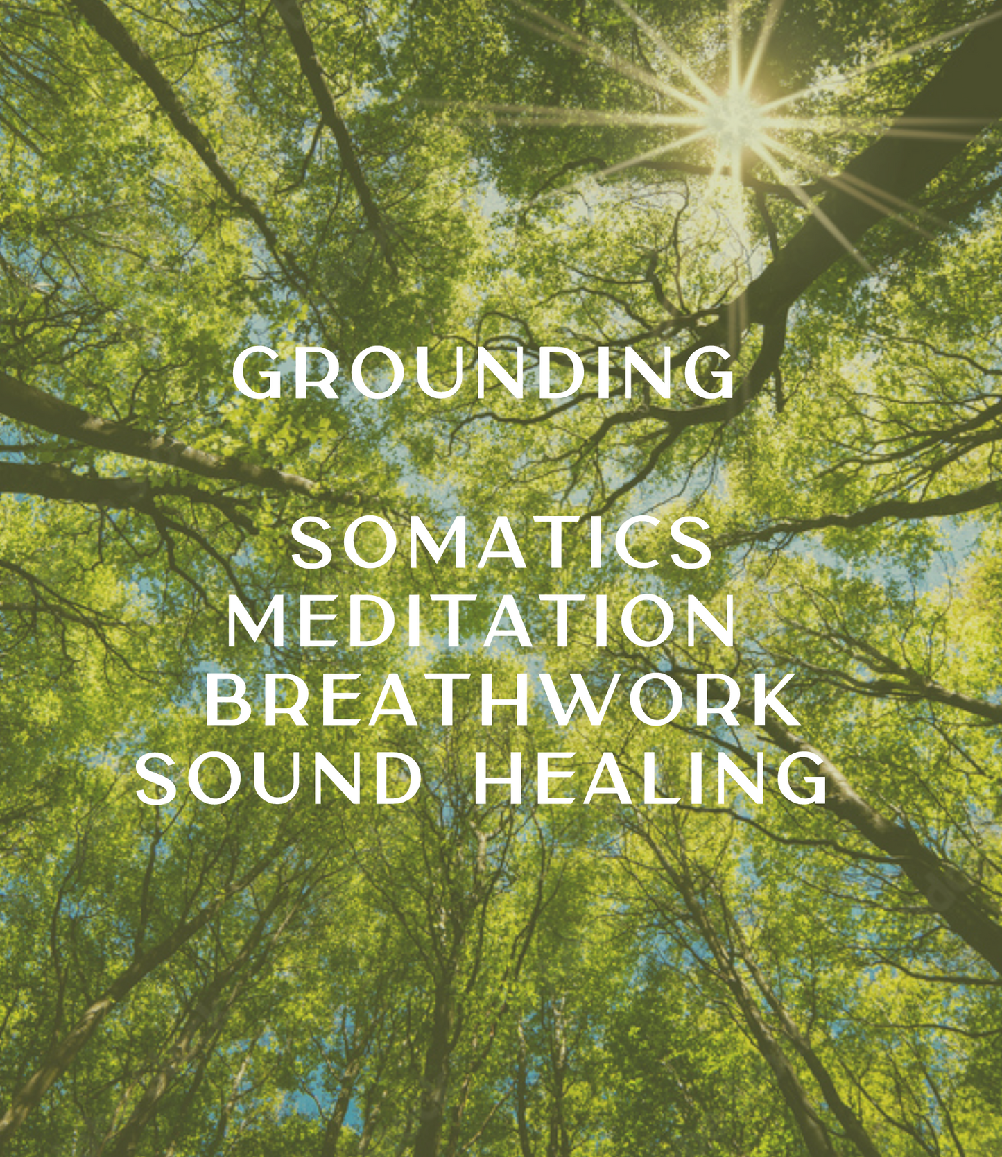 07. Grounding Somatics + Sound Healing Meditation + Vibration (Workshop)