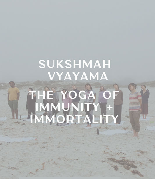 06. Sukshmah Vyayama: The Yoga of Immunity + Immortality (Workshop)